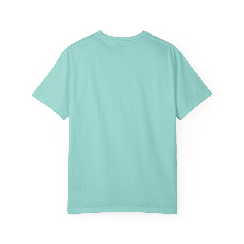 Hayabusa Shinkansen T-Shirt