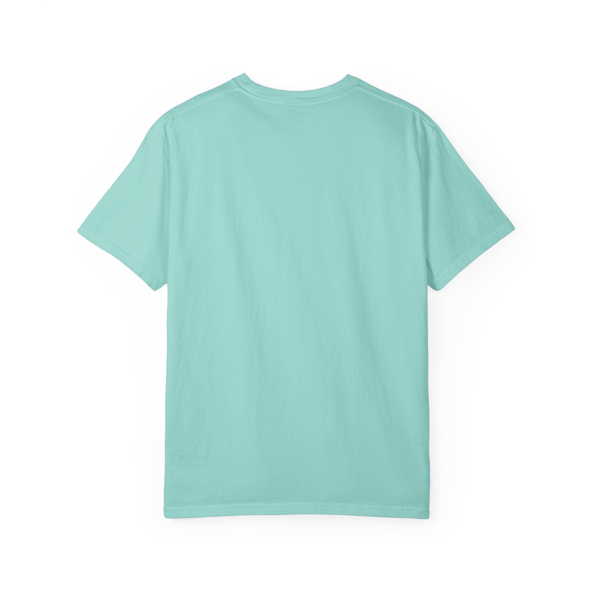 Hayabusa Shinkansen T-Shirt