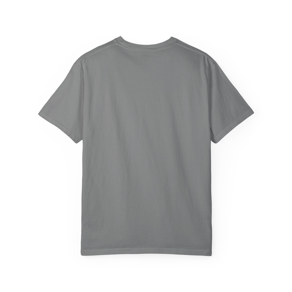 Hayabusa Shinkansen T-Shirt