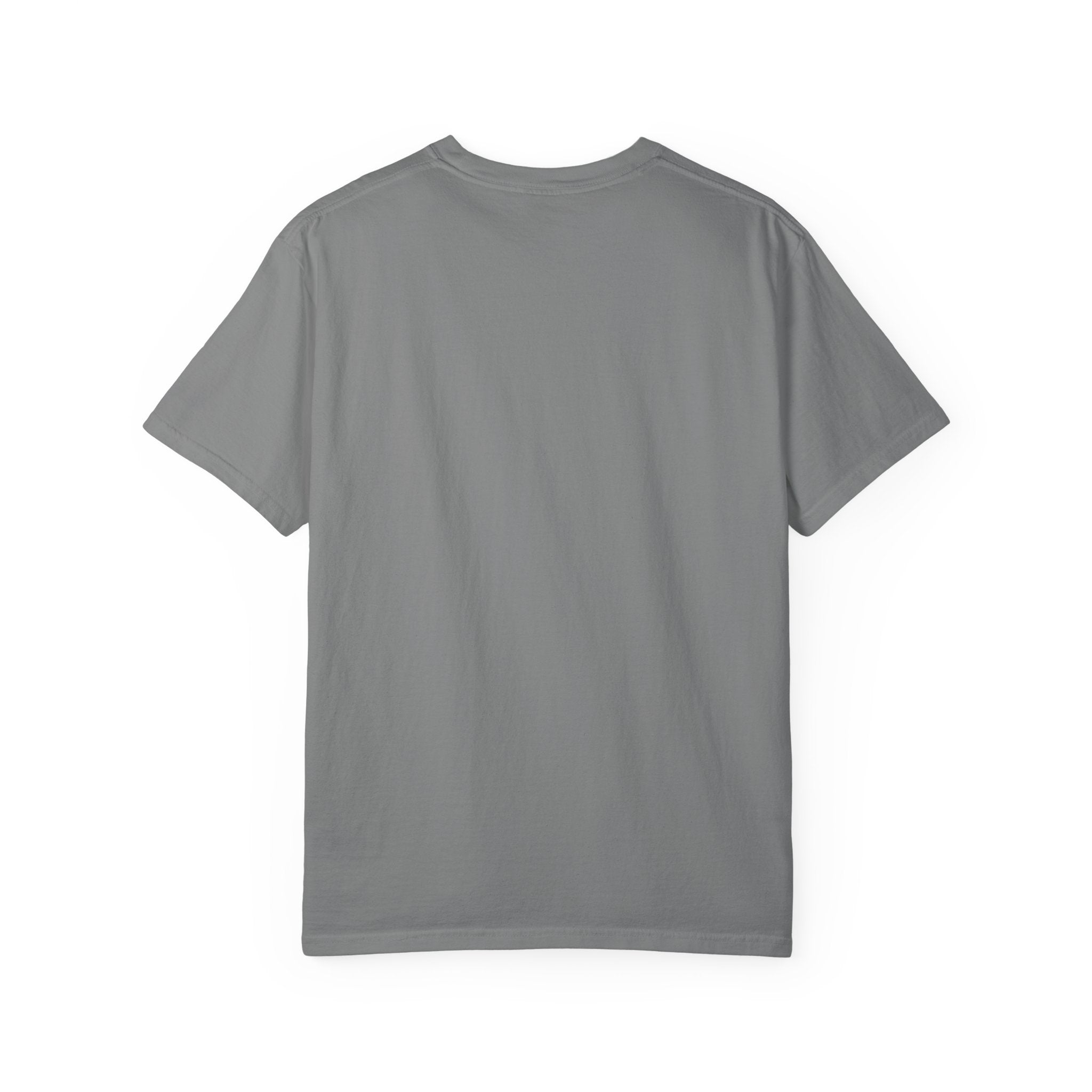 Hayabusa Shinkansen T-Shirt